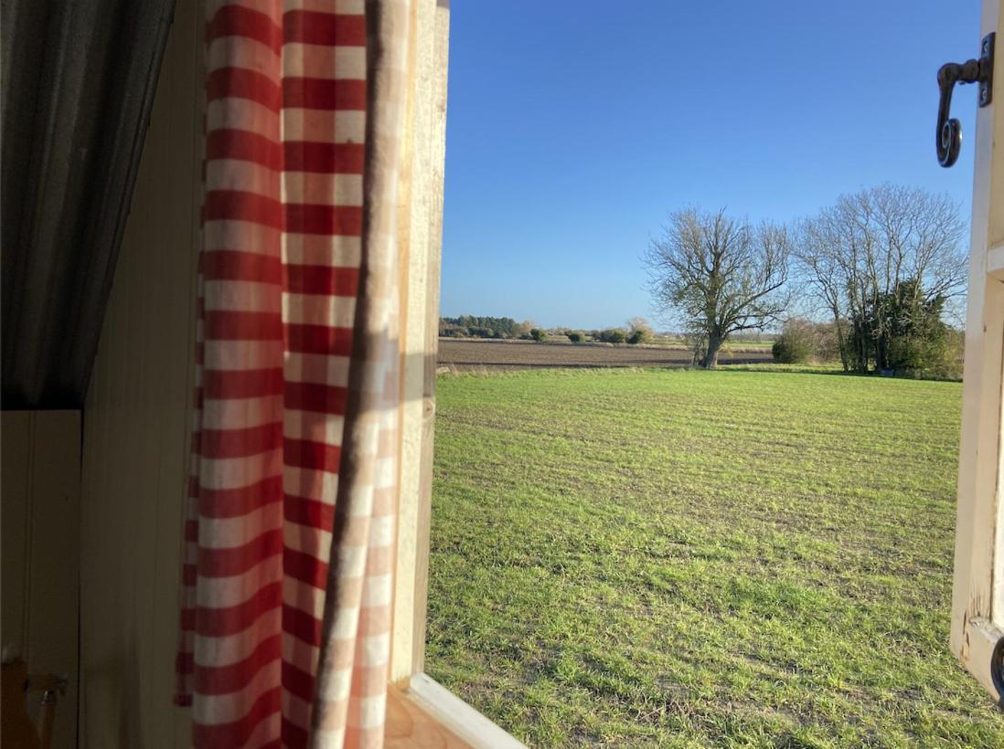 Fen Meadows Glamping - Luxury Cabins And Bell Tents Cambridge  Exterior foto